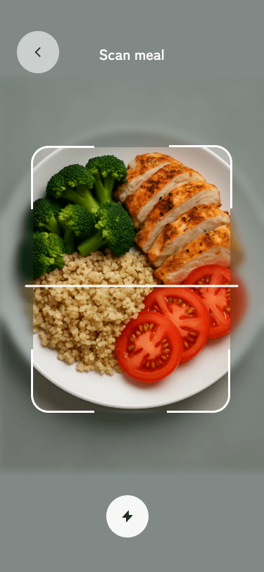 FitLead.AI meal scanning feature using AI to identify food items